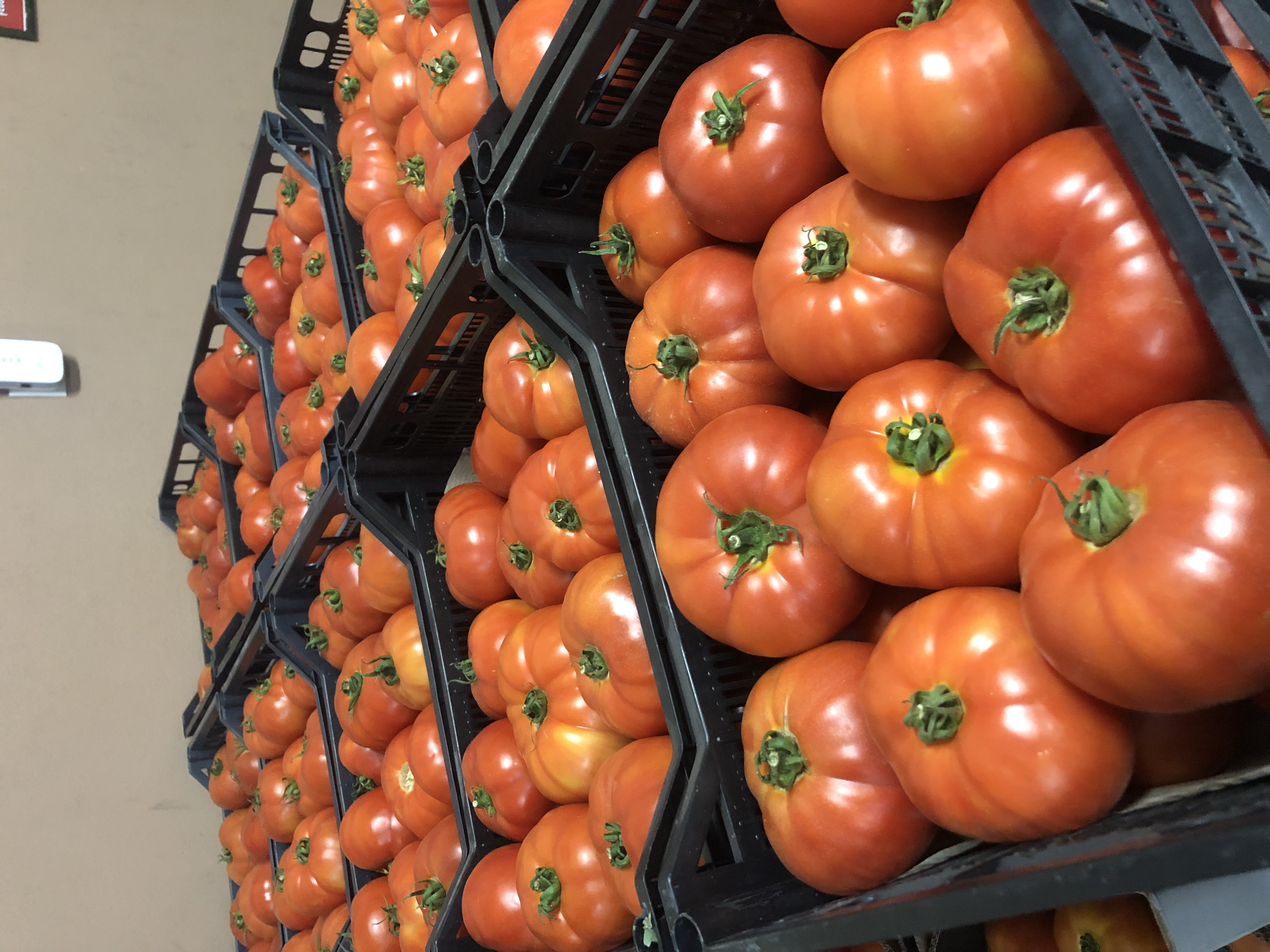 Φρέσκα Λαχανικά